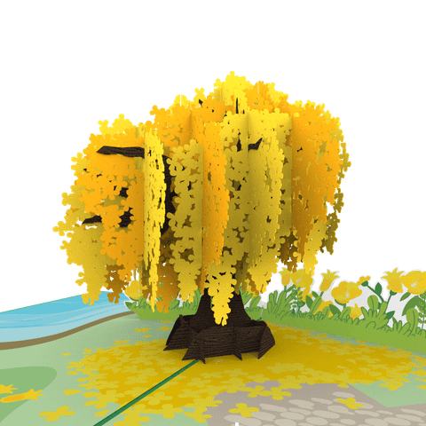  Cassia Fistula Pop Up Card 