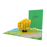  Cassia Fistula Pop Up Card 