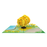  Cassia Fistula Pop Up Card 