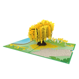  Cassia Fistula Pop Up Card 