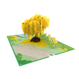  Cassia Fistula Pop Up Card 