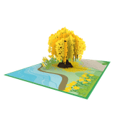  Cassia Fistula Pop Up Card 