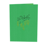  Cassia Fistula Pop Up Card 