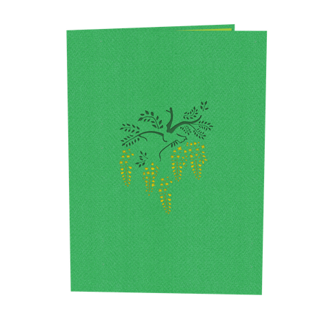  Cassia Fistula Pop Up Card 