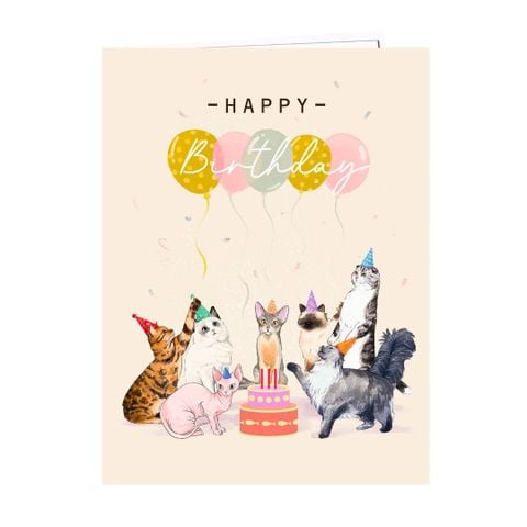  Cats Birthday Pop Up Card 