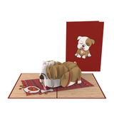  Lazy Bulldog Pop Up Card 