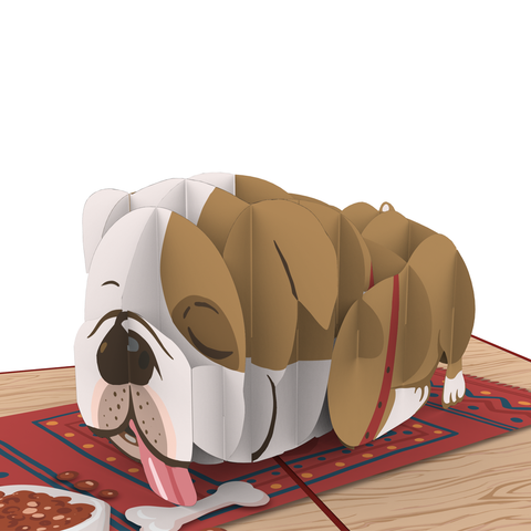 Lazy Bulldog Pop Up Card 