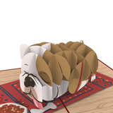  Lazy Bulldog Pop Up Card 