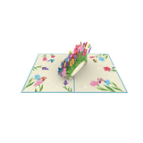  Mom & Dad Pop Up Card 