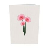  Pink Daisies Pop Up Card 