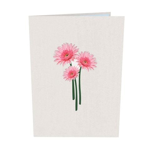  Pink Daisies Pop Up Card 
