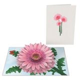  Pink Daisies Pop Up Card 