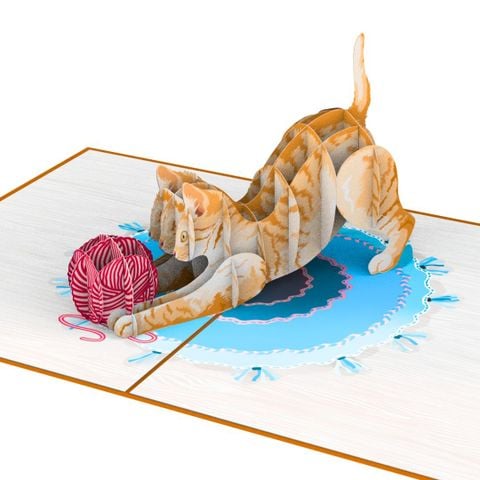  Playful Kitten Pop Up Card 