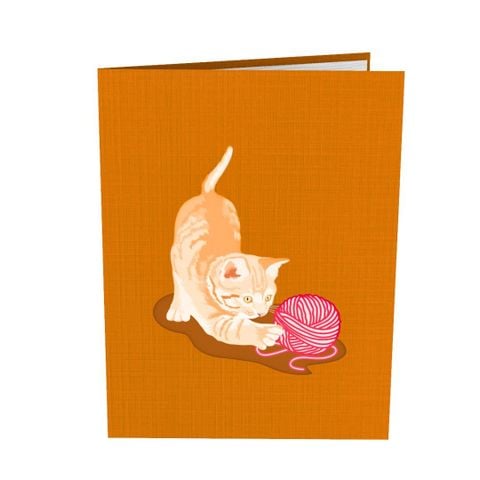  Playful Kitten Pop Up Card 