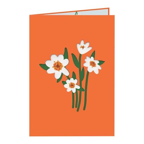  Profusion White Zinnia Pop Up Card 