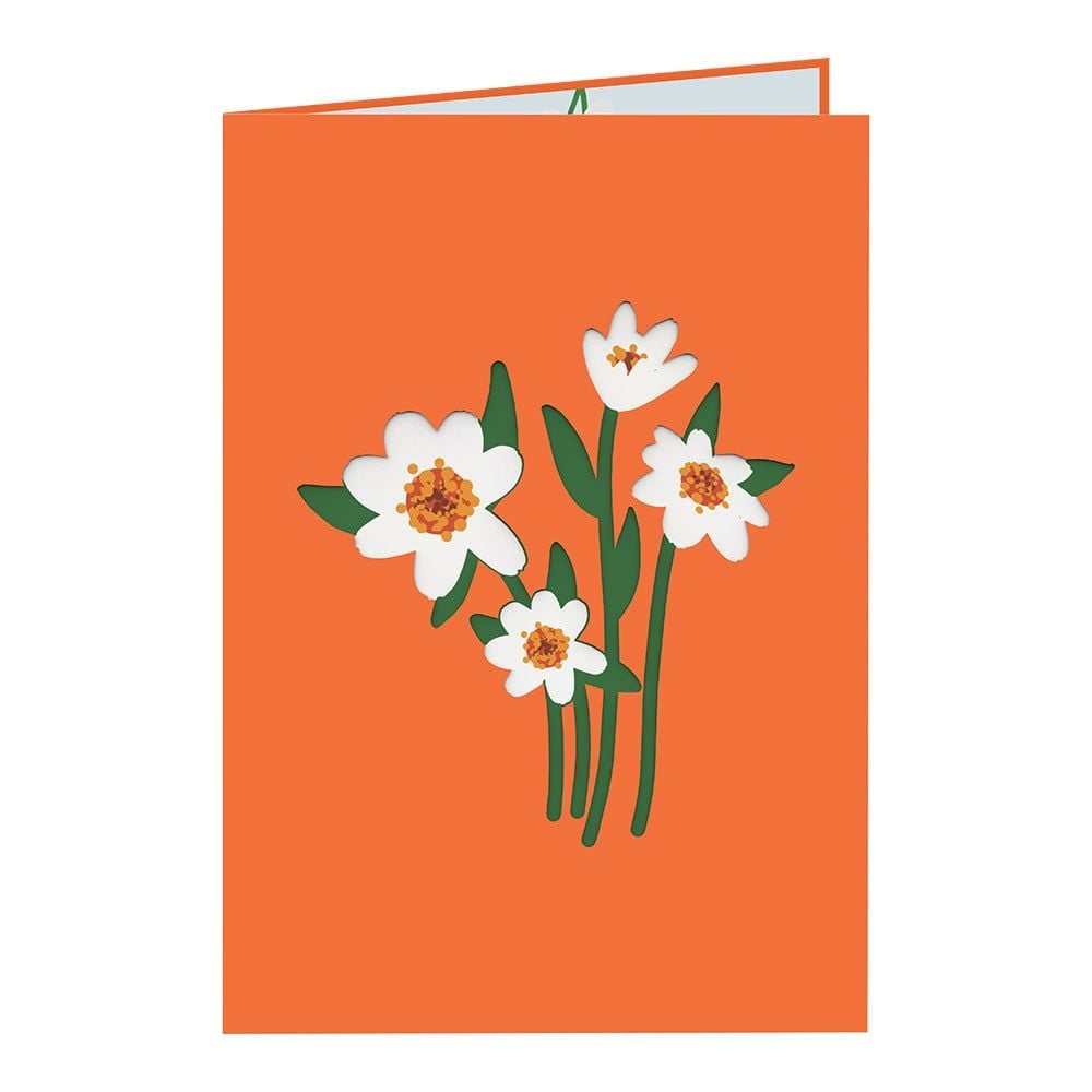  Profusion White Zinnia Pop Up Card 