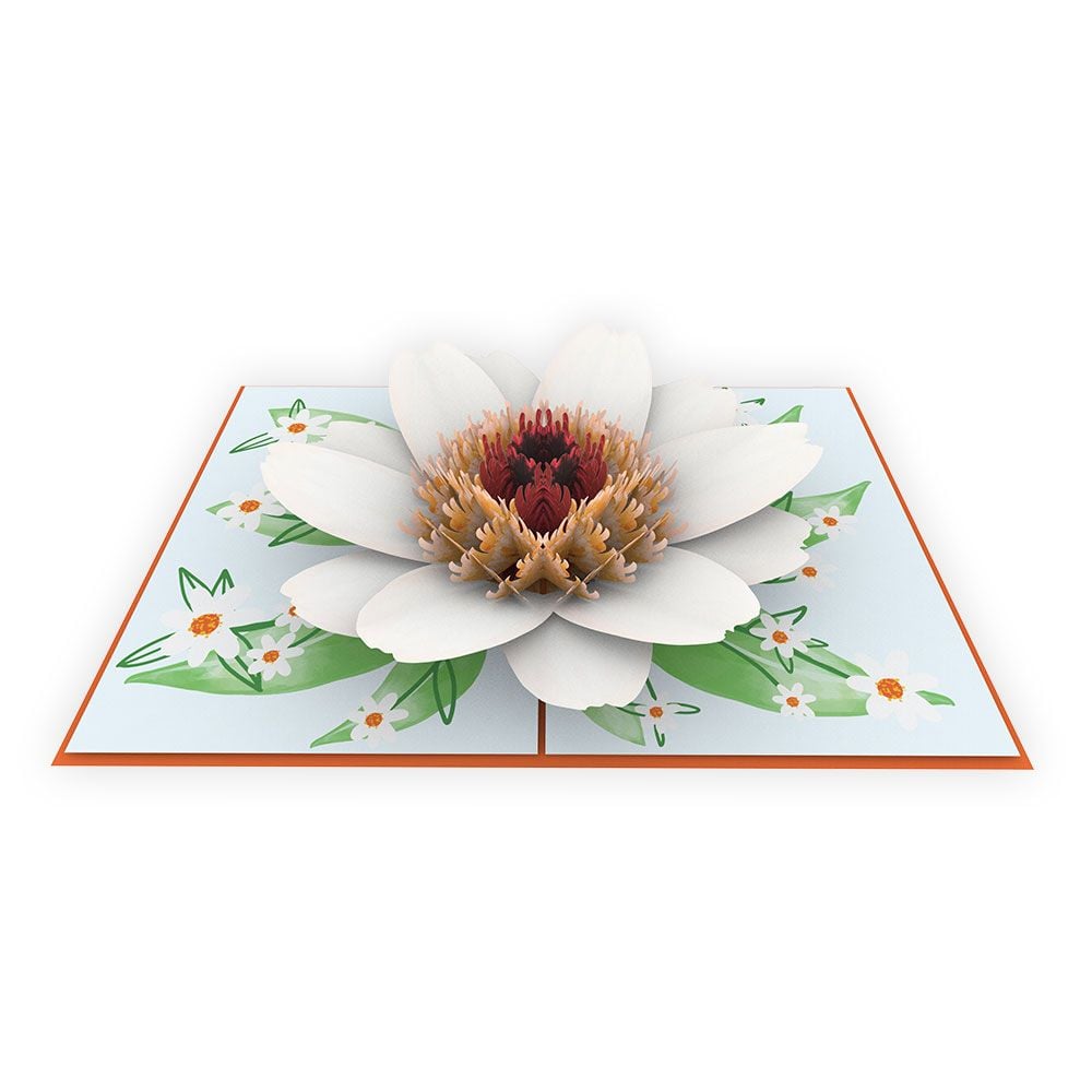  Profusion White Zinnia Pop Up Card 