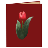  Red Tullips Pop Up Card 