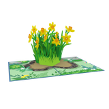  Yellow Daffodil Pop Up Card 