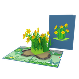  Yellow Daffodil Pop Up Card 