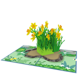  Yellow Daffodil Pop Up Card 