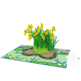  Yellow Daffodil Pop Up Card 