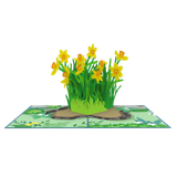  Yellow Daffodil Pop Up Card 