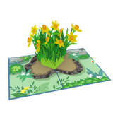  Yellow Daffodil Pop Up Card 