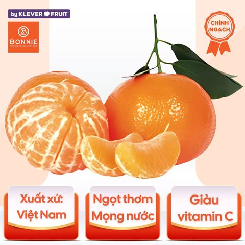 Cam Canh Mộc Châu - Cam Đường