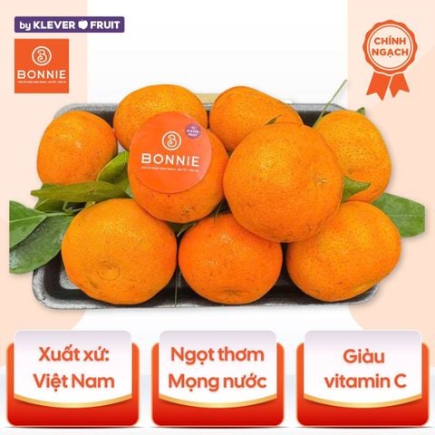 Cam Canh Mộc Châu - Cam Đường