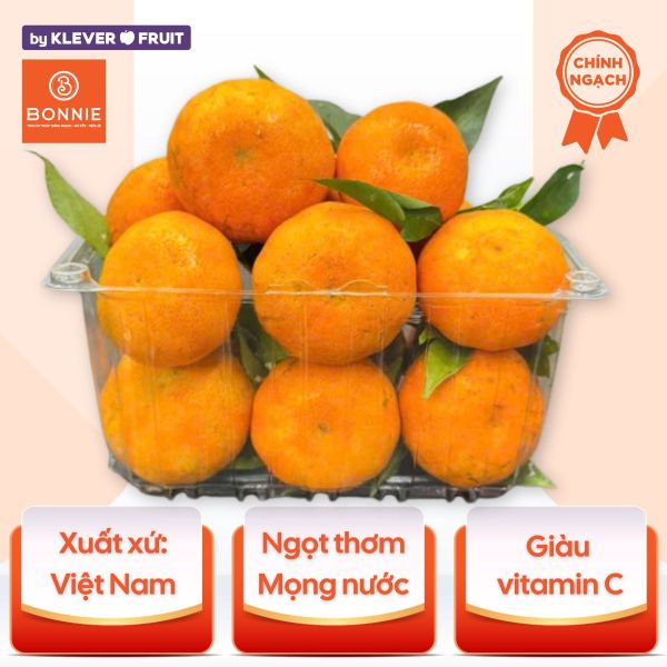 Cam Canh Mộc Châu - Cam Đường