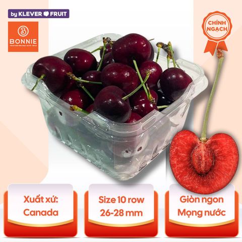 Cherry Đỏ Canada Size 10 row - Canadian Cherry