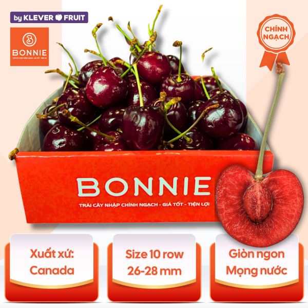 Cherry Đỏ Canada Size 10 row - Canadian Cherry