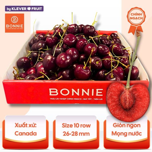 Cherry Đỏ Canada Size 10 row - Canadian Cherry