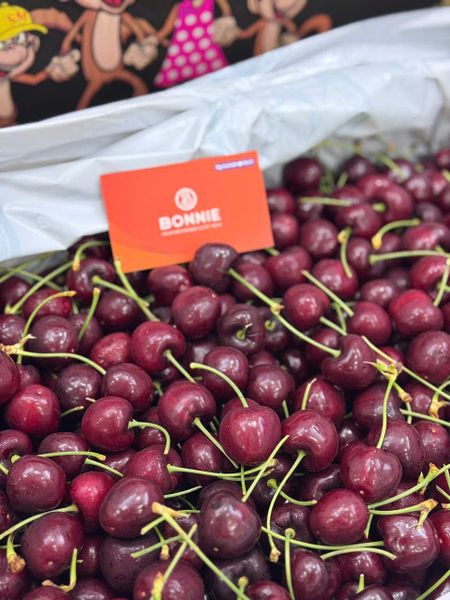 Cherry SupperBig Mỹ size 9 row - USA Cherry