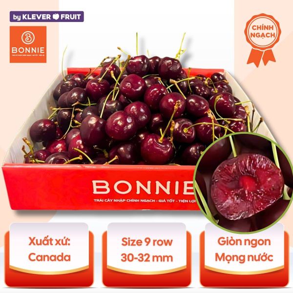 Cherry Đỏ Canada Size 9 row - Cherry Size To - Canadian Cherry