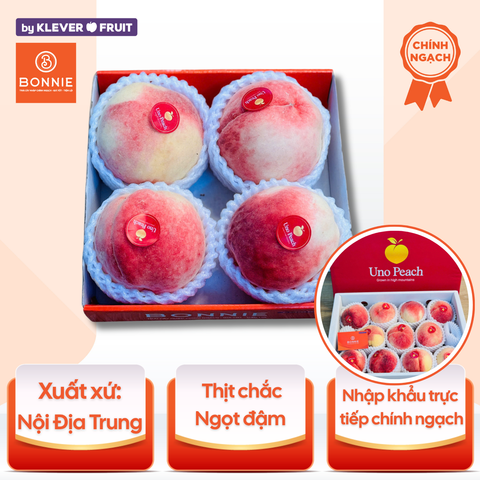 Đào Thiên Sơn - Nội Địa Trung