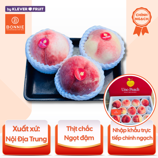 Đào Thiên Sơn - Nội Địa Trung