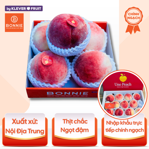Đào Thiên Sơn - Nội Địa Trung