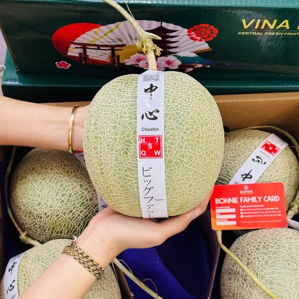 Dưa Lưới Ruột Cam - Việt Nam