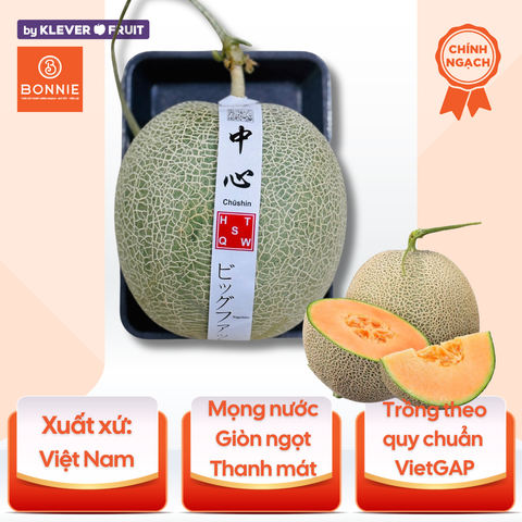 Dưa Lưới Ruột Cam - Việt Nam