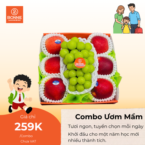 Giỏ Quà Ươm Mầm