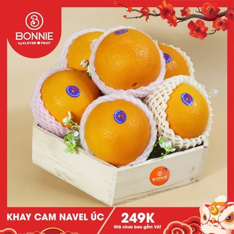 Hộp Quà Tết Cam Vàng Úc