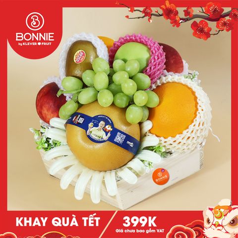Khay Quà Tết Tone Vàng