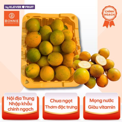 Kim Quất Nội Địa Trung