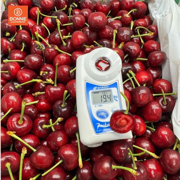 Cherry Đỏ Úc Size 26 - 28mm - Australian Cherries