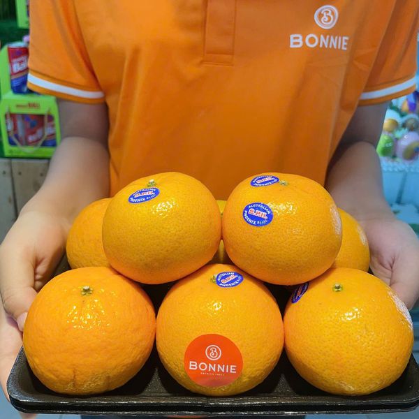 Quýt Úc Honey Murcott – 2PH Farms, Queensland