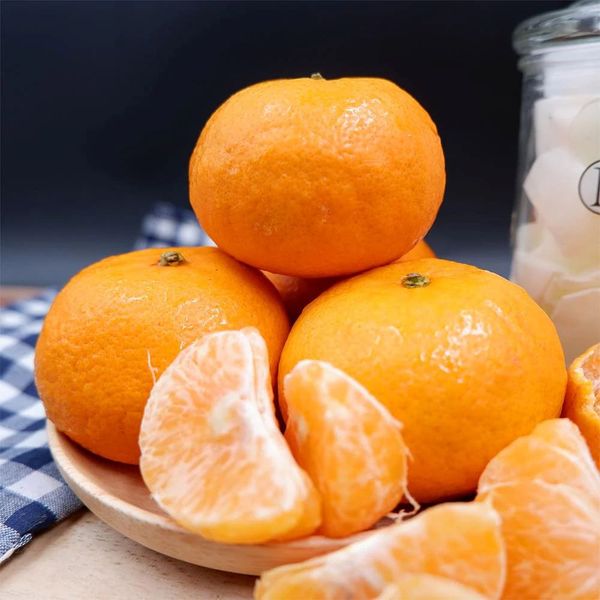 Quýt Úc Honey Murcott – 2PH Farms, Queensland