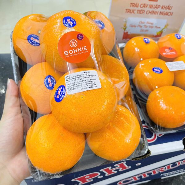 Quýt Úc Honey Murcott – 2PH Farms, Queensland