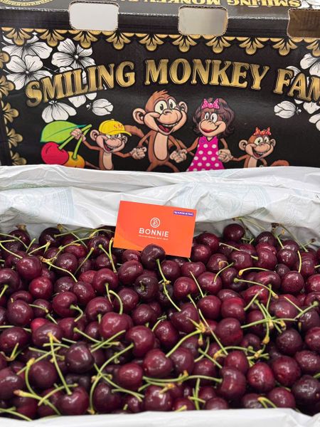 Cherry SupperBig Mỹ size 9 row - USA Cherry